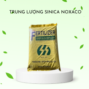 Phân bón Sica Noxaco – Giải pháp tối ưu cho đất và cây trồng