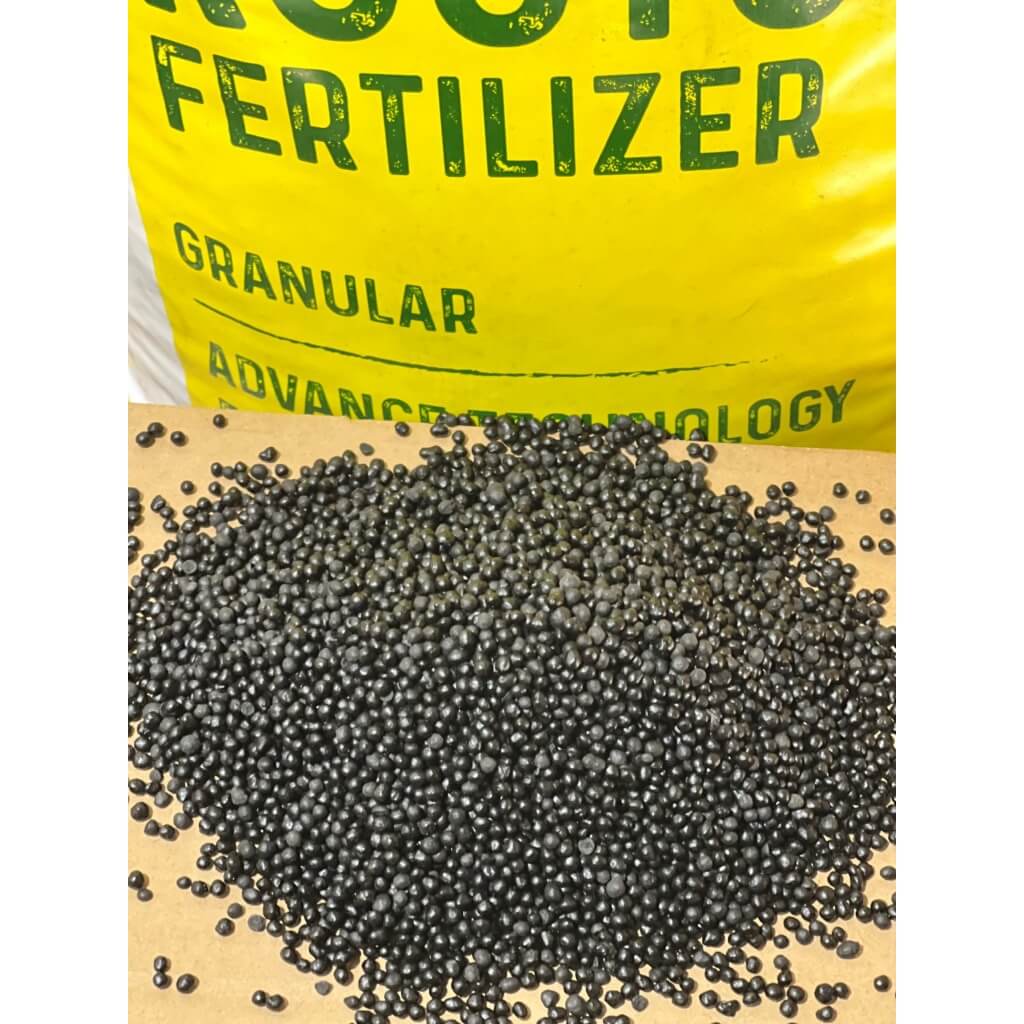 vn-11134207-7ra0g-m8n1a8hzv3pee8