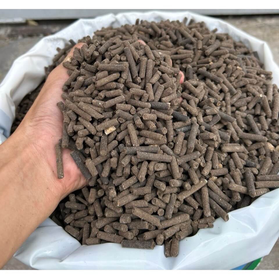 vn-11134207-7ras8-m1p36fjwr2kff4