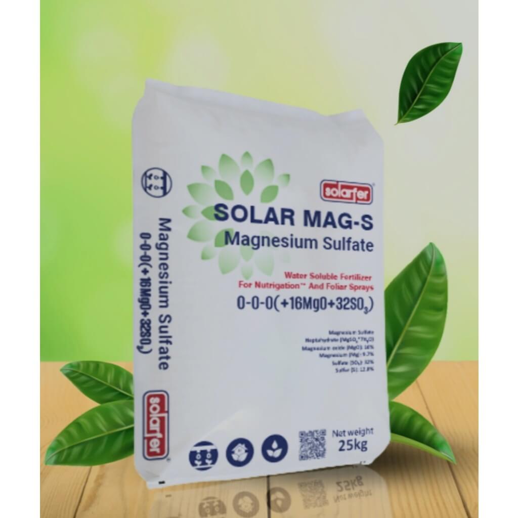 vn-11134207-7ras8-m27nsi9xpsc246