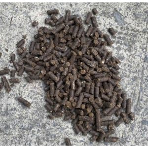 Phân gà hữu cơ white horse