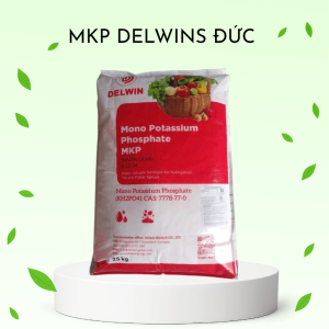 MKP DELWINS ĐỨC 0-52-34 – KÍCH HOA – DƯỠNG TRÁI – TĂNG NĂNG SUẤT
