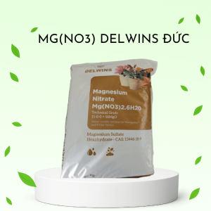 Phân bón Magnesium Nitrate Delwins Đức – Giải pháp cung cấp Magie và Đạm hiệu quả
