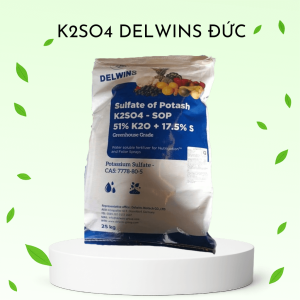 Phân Bón Kali Sunphat Delwins – Chất Lượng Cao Cho Nông Nghiệp Hiện Đại