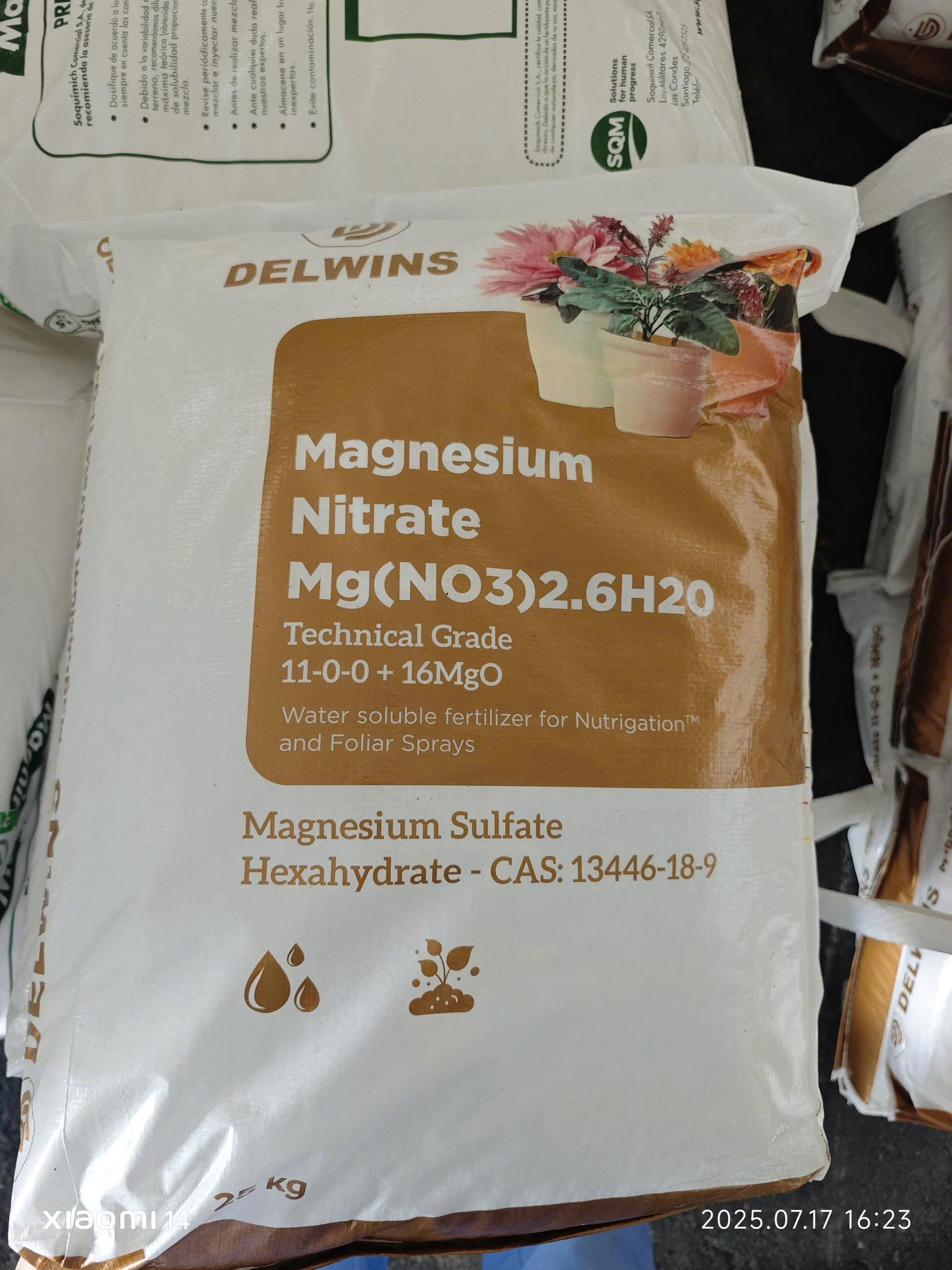 2eac6bea740df953a01c12