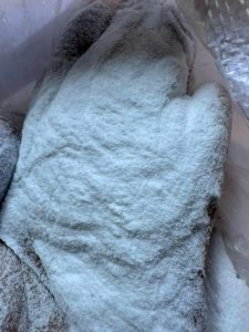 phân bón Kali Sunphat Delwins